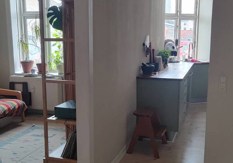 home swap in Copenhagen, Denmark