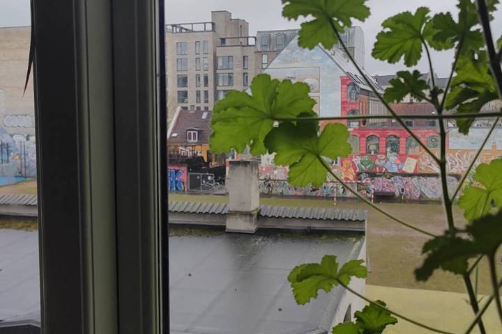 Quiet Oasis in the Heart of Vibrant Nørrebro - 3