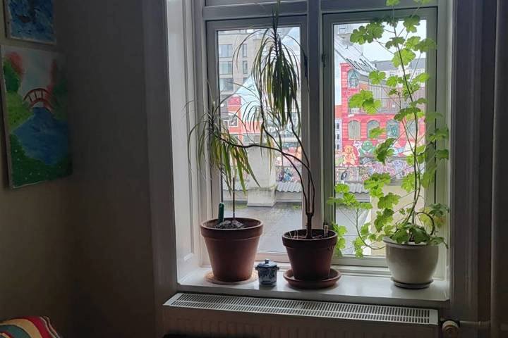 Quiet Oasis in the Heart of Vibrant Nørrebro - 2