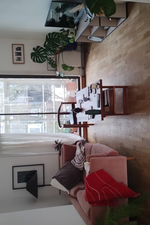 Spacious apartment in city centre - 1