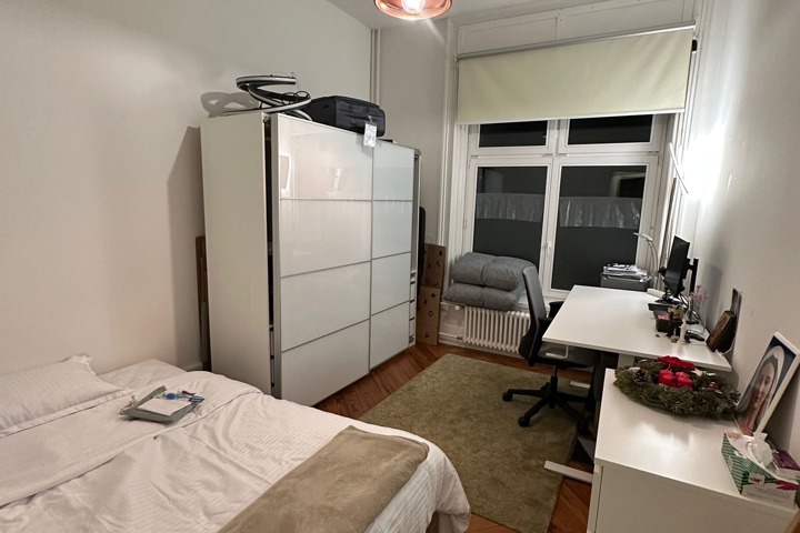 Cute studio in the <3 of Zürich - 1