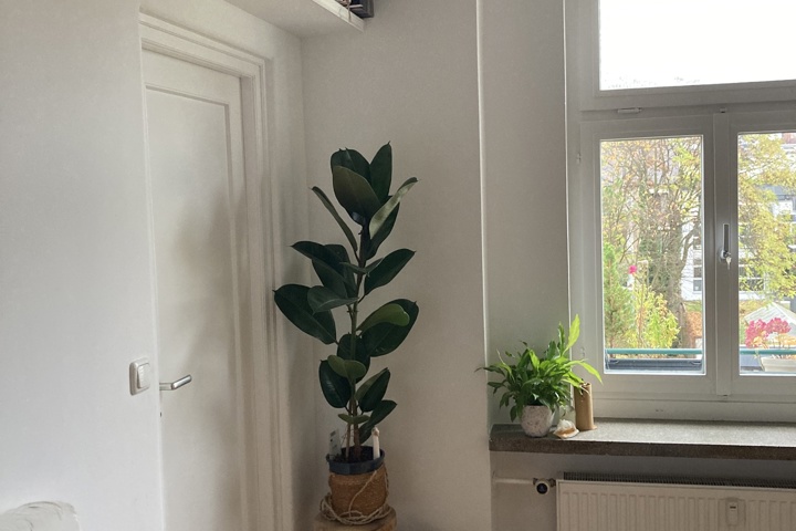 Cozy Home in central Munich - 1