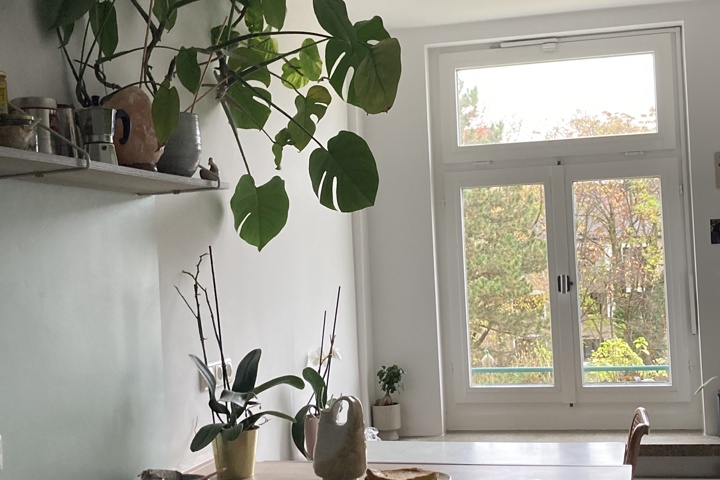 Cozy Home in central Munich - 7