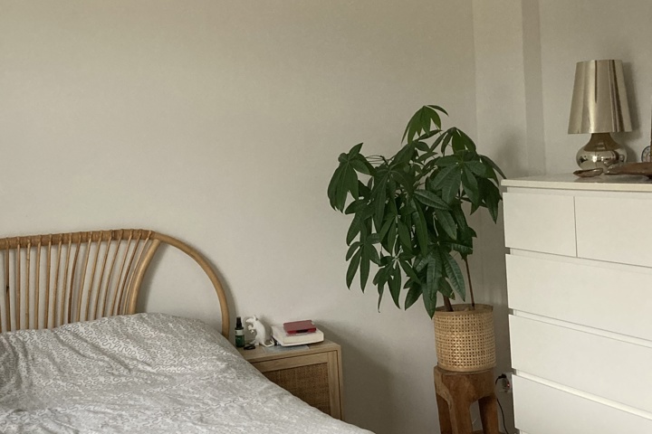 Cozy Home in central Munich - 8