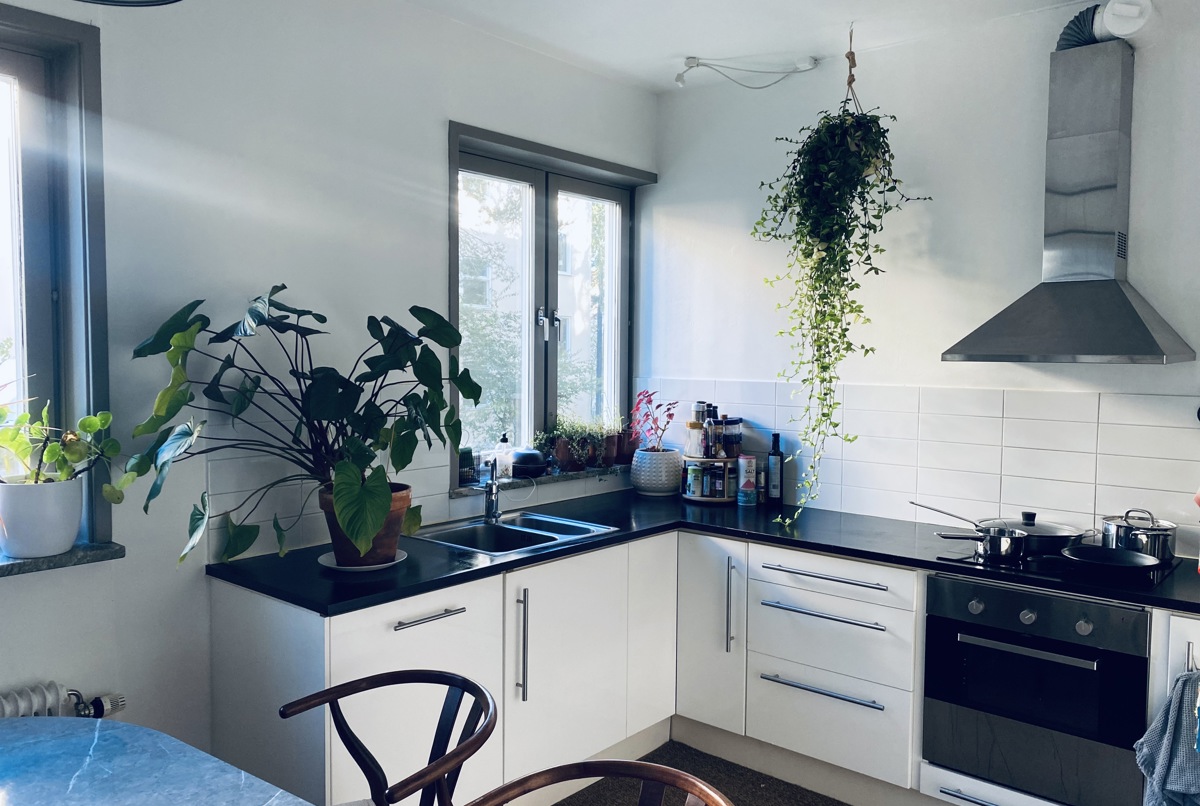 Luminous and Homie apartment in Stockholm
