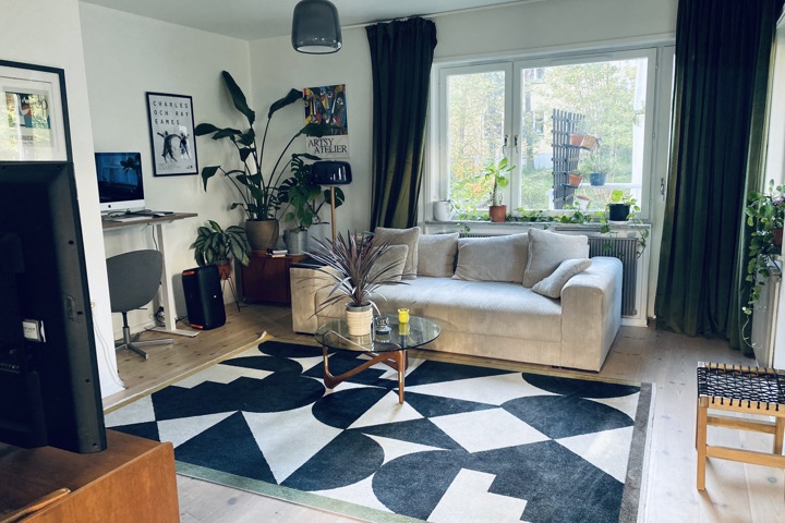 Luminous and Homie apartment in Stockholm - 2