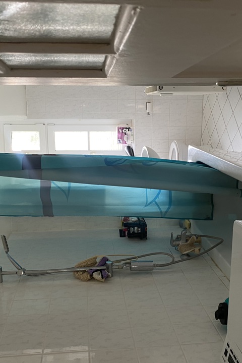 Bright & Cozy Living Space - 1