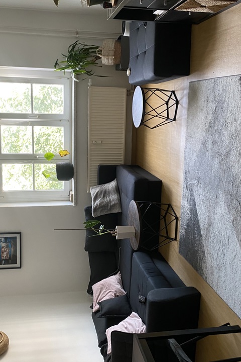 Bright & Cozy Living Space - 4