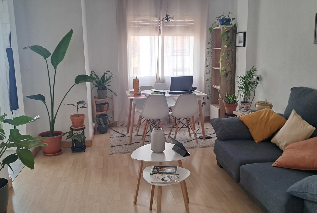 Apartment near the beach