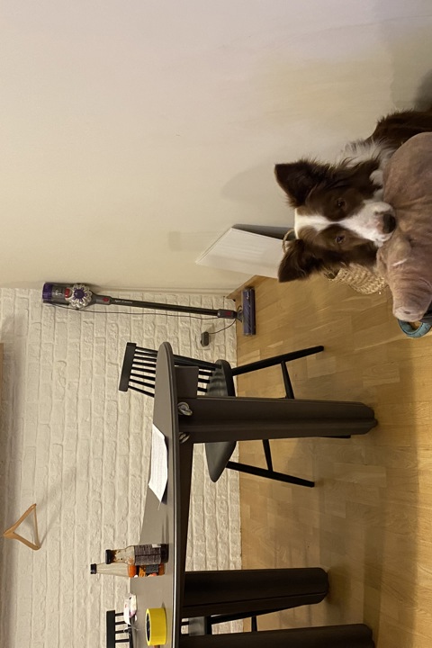 Spacious apartment close the oldtown and station - 4