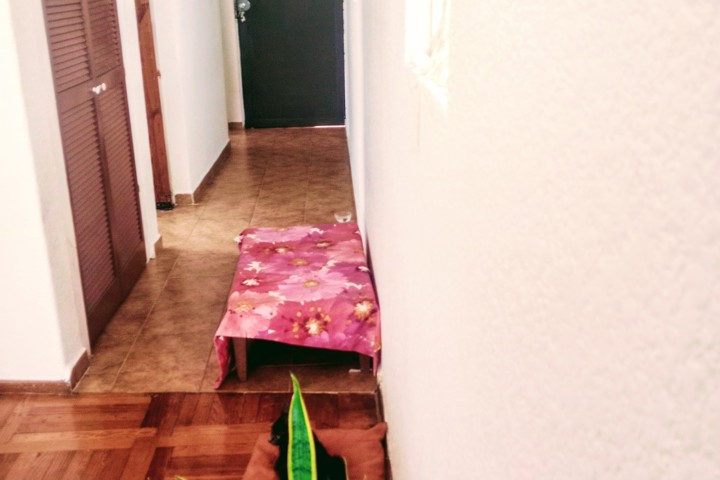 ROMA Norte very nice and quiet apartment - 5