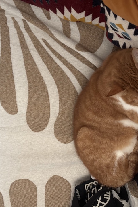 Cozy apartment close to the sea - 5