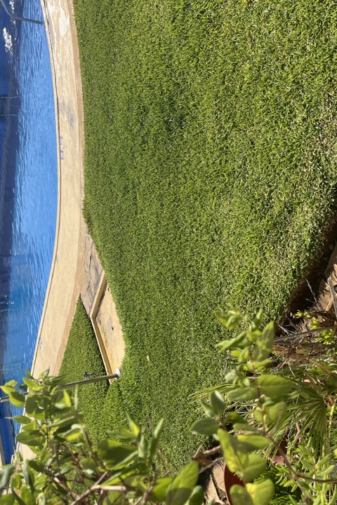 3 Bed duplex 200m from the beach - 2