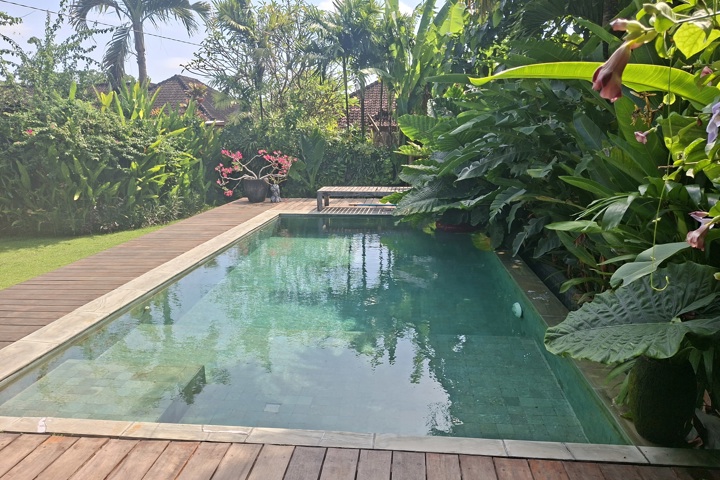 Typical Balinese villa with garden & swimming pool - 2