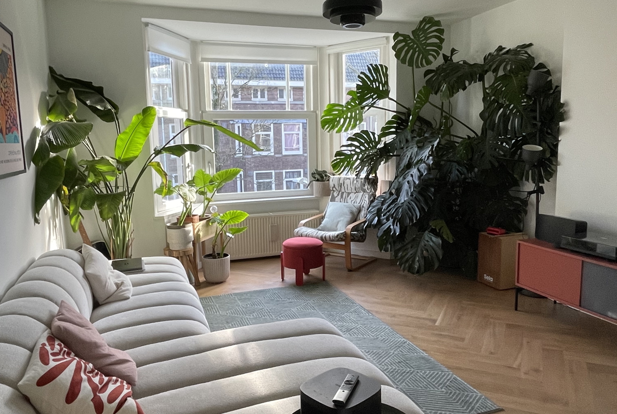 Cozy apartment with roof terrace