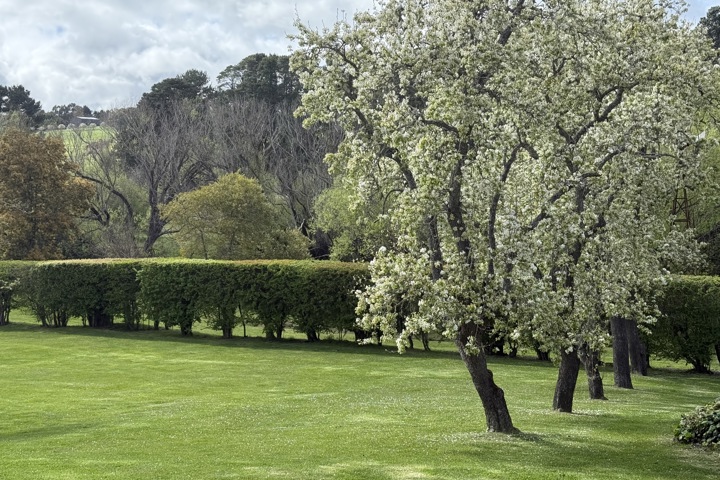 Lauriston Riverhouse - 17