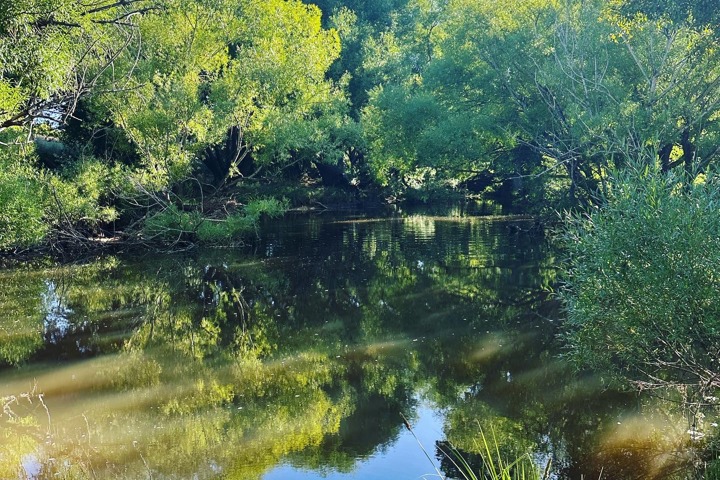 Lauriston Riverhouse - 9