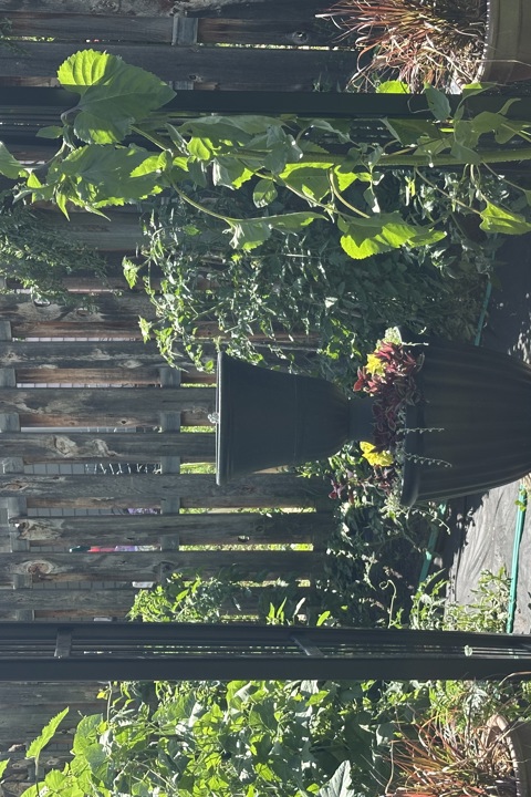 Eccentric Craftsman House in Sheridan, Wyoming - 12