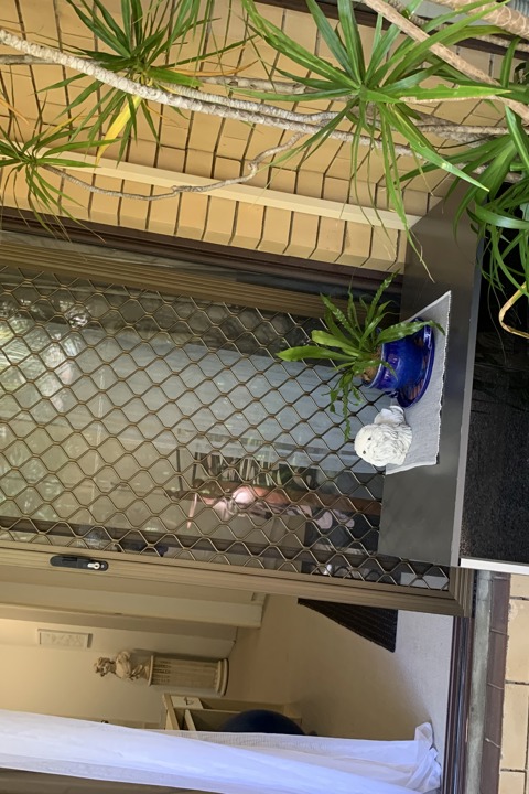 Courtyard 2BR Apartment - 5