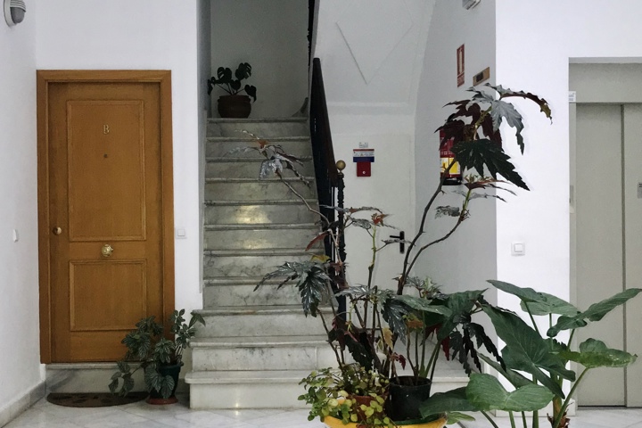 Charming Studio in the Heart of Seville - 11