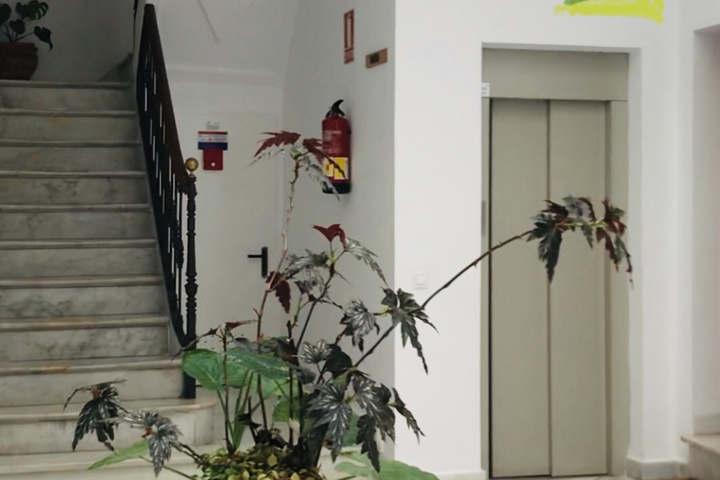 Charming Studio in the Heart of Seville - 16