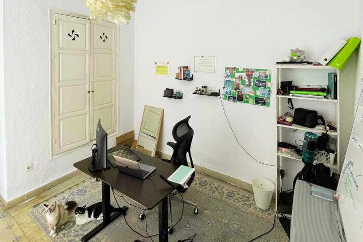 Colonial flat in malaga city center - 3