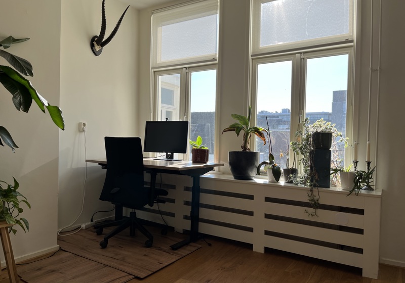 home swap in Amsterdam, The Netherlands