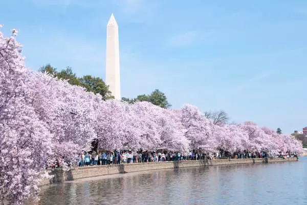 Home Swap District of Columbia - Seasons, Transport, and Practical Planning