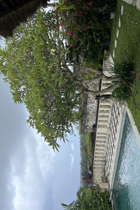 Andreea’ s Ocean View Villa in BALI✨ - 13