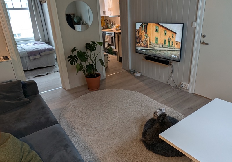 home swap in Bergen, Norway