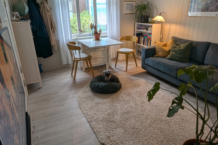 Small apartment in town centre - 1