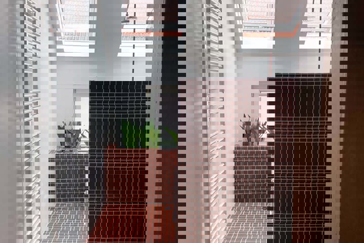 Little jungle in Gent - 10