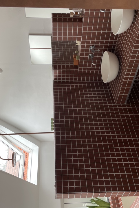 Little jungle in Gent - 11