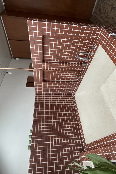 Little jungle in Gent - 12