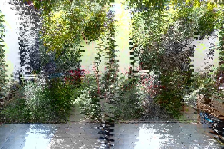 Little jungle in Gent - 14