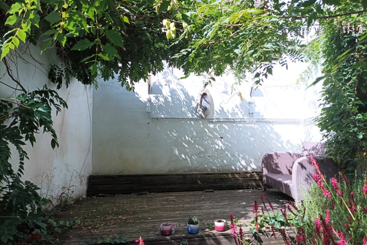 Little jungle in Gent - 5