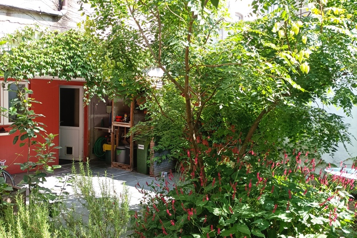 Little jungle in Gent - 16