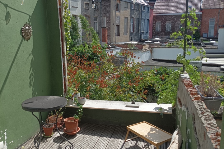 Little jungle in Gent - 17