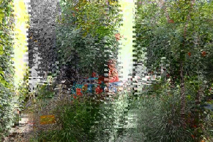 Little jungle in Gent - 18