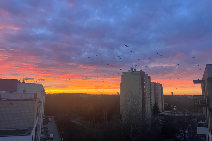 I wish I could call it "my penthouse". - 8