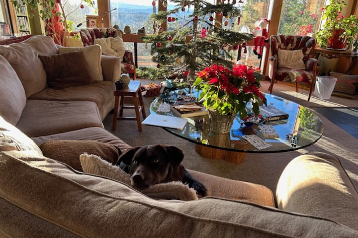 Stunning View Home off Private Cul-de-Sac - 1