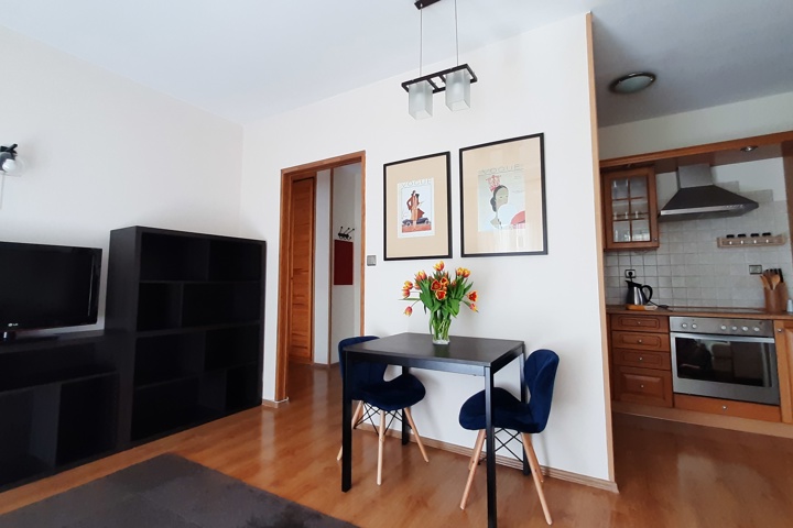 Charming 2-Room Apartment with Huge Terrace - 2