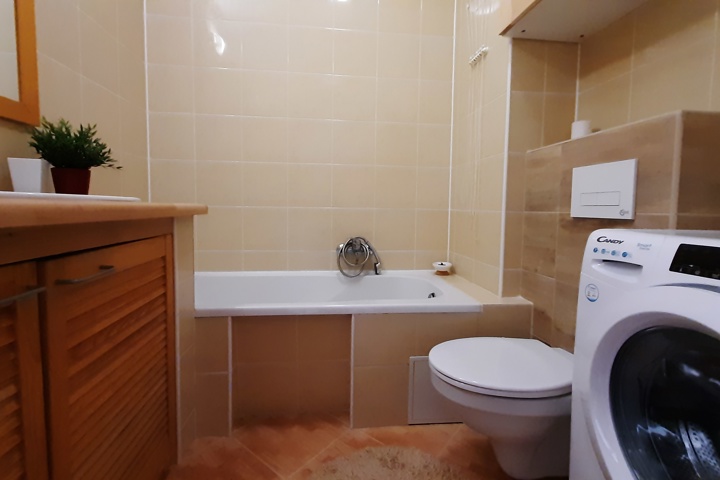 Charming 2-Room Apartment with Huge Terrace - 5