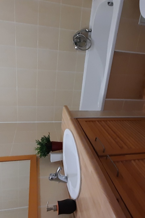 Charming 2-Room Apartment with Huge Terrace - 6