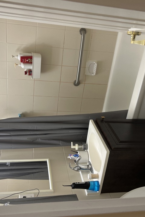 1-bedroom apartment in a vibrant,quiet Toronto ara - 4