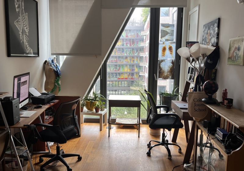 home swap in New York City, New York