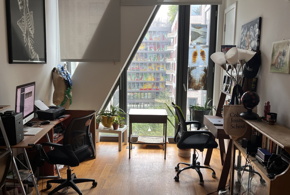 Luxury Apt in Hip Bushwick, Brooklyn