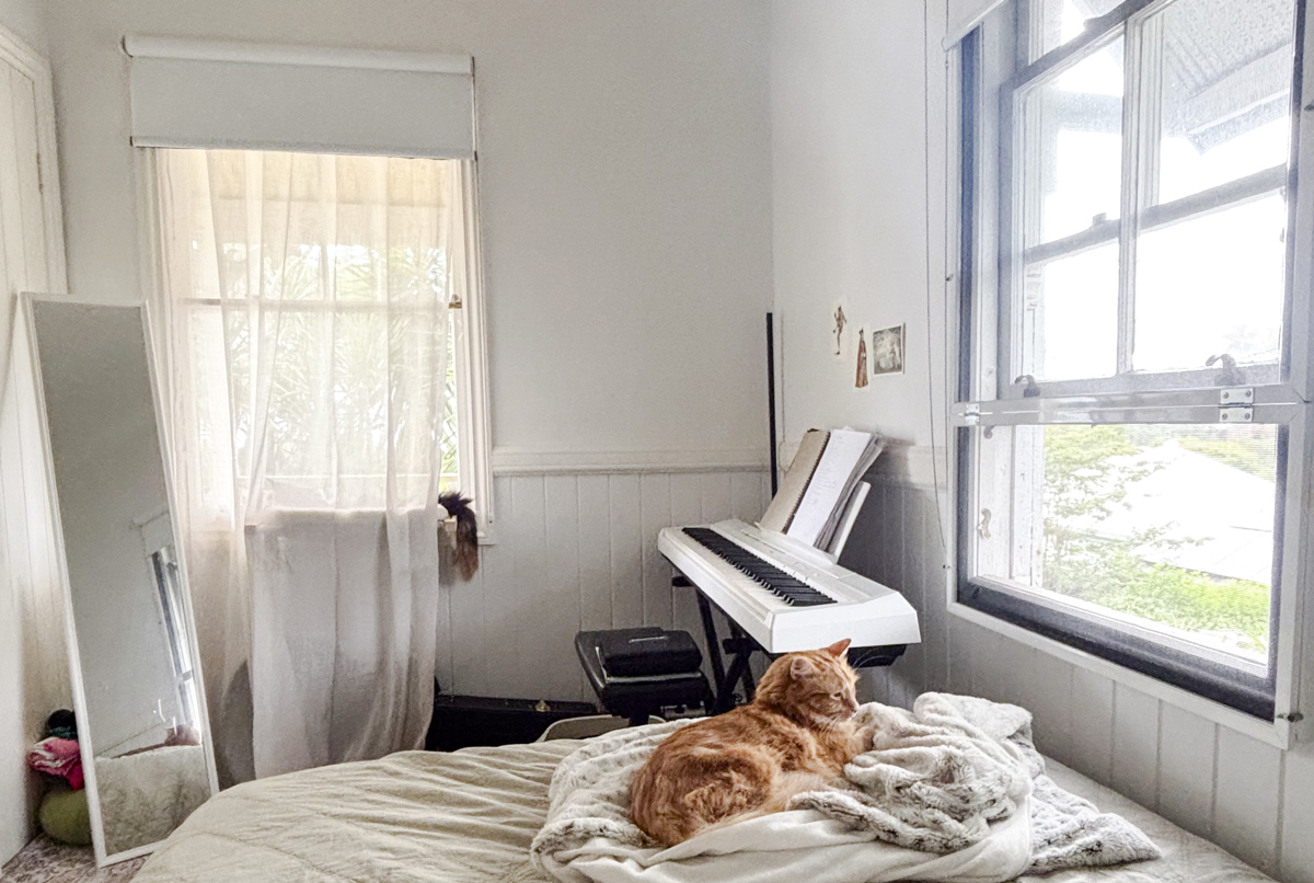 Peaceful Inner City Brisbane home with 2 cats