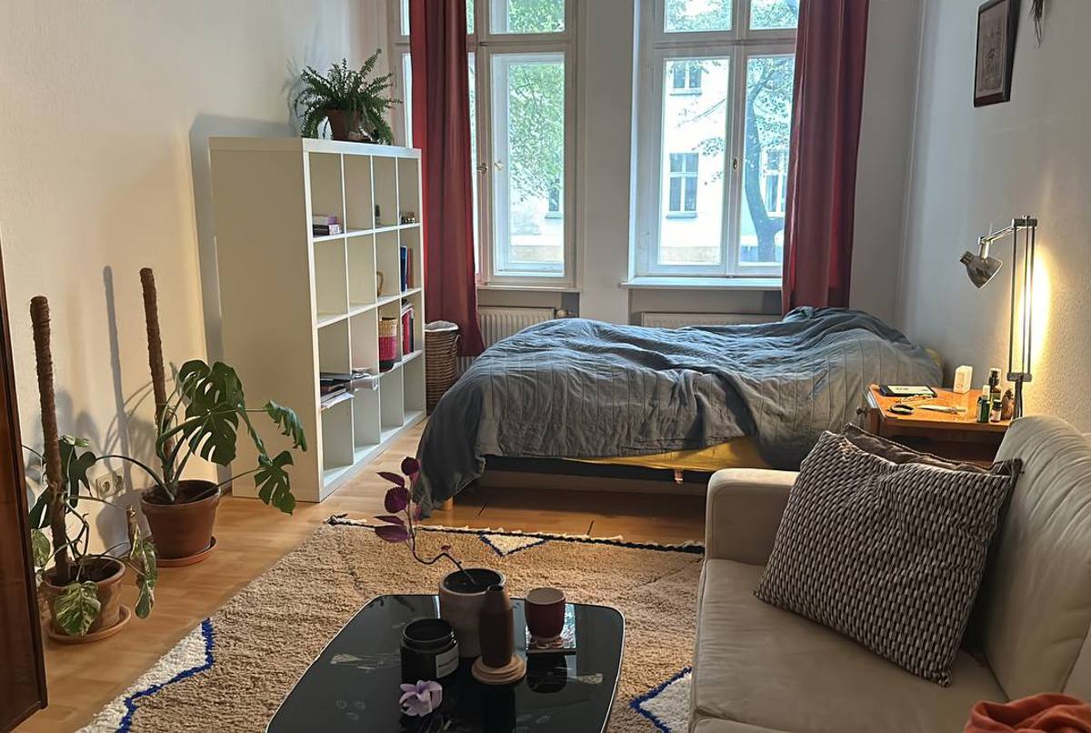 Cozy flat