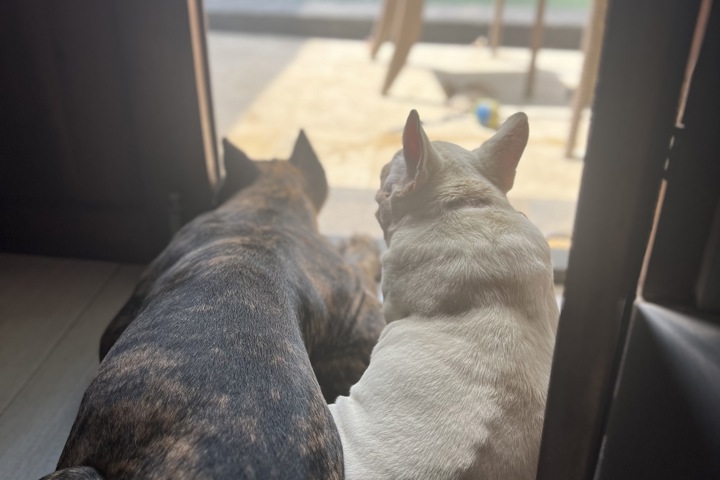 3 bedroom villa in Bali - 1